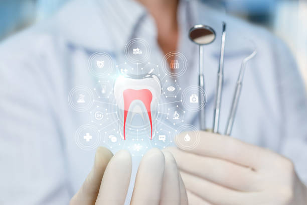 Best Root Canal Treatment  in The Meadows, FL