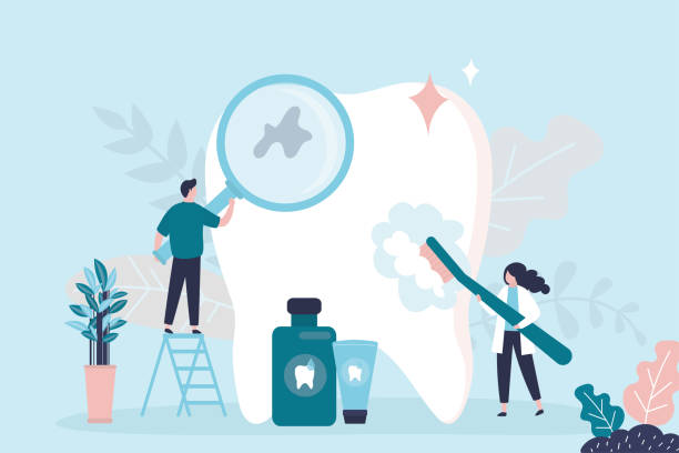 Best Veneers and Lumineers  in The Meadows, FL